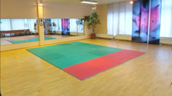 Aikido_Icon_Original_raster_V2_shark